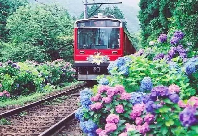 日本最全的交通指南，赴日旅行看这里