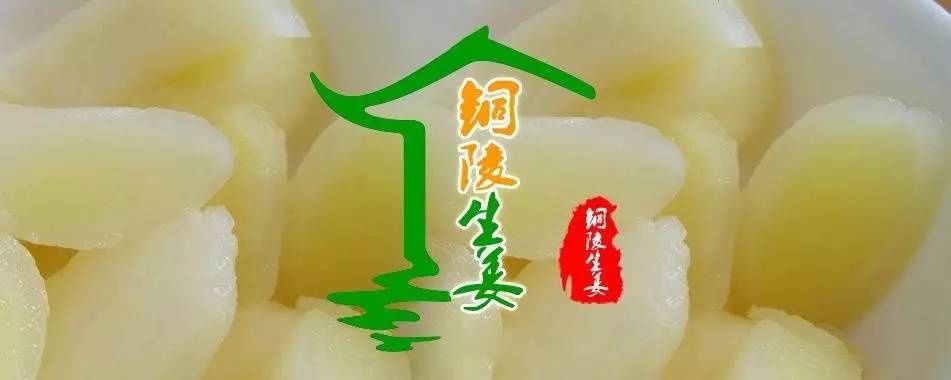铜陵白姜种植系统入选中国重要农业文化遗产的