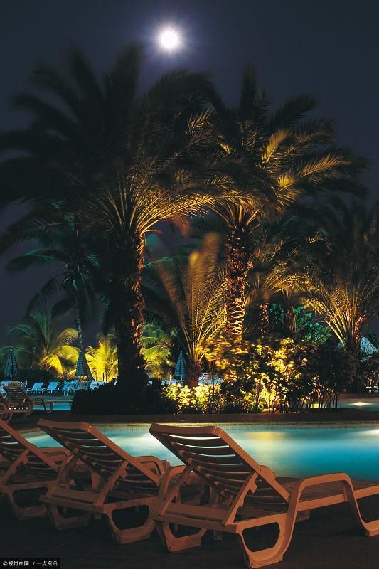 教你从八字看学历高低-事业的敲门砖!