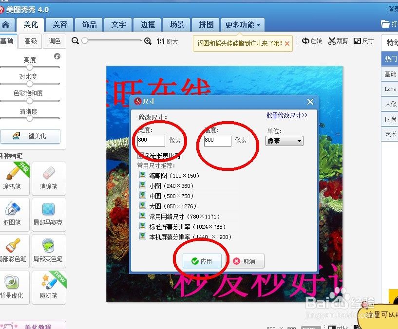 新手店主淘宝主图大小尺寸怎么修改