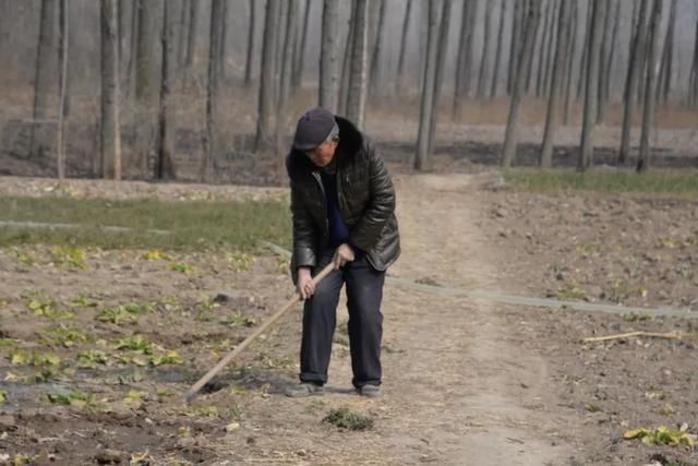 苏北乡村农民做的这两件事，瞬间温暖了我的朋友圈