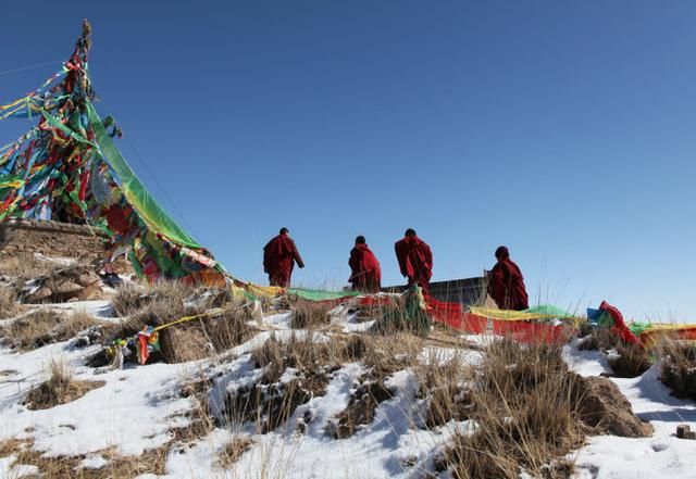青海湖有一小岛，游客难以接近，7个尼姑在这过着苦日子