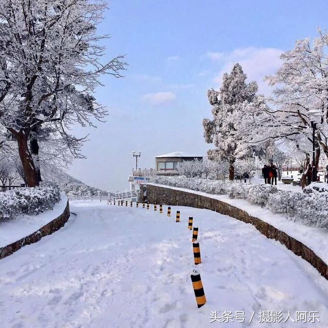 江西下雪了，庐山上的小猴子被美景惊住了