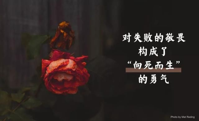 吴晓波解读大败局:为什么大部分企业没有活过