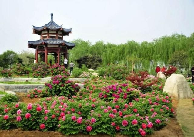 洛阳比太原的GDP高 为什么是三线城市