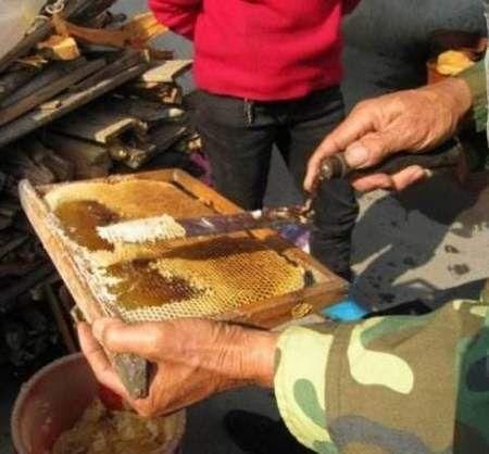 早上和晚上喝“蜂蜜”,到底有啥区别?原来我一直喝错了,真浪费