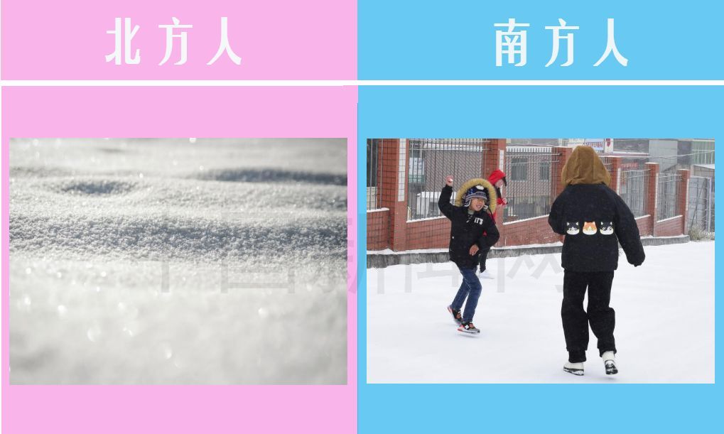 春节回家都咋过?北方人:冬天照样吃雪糕!南方人:是为了活血化瘀吗