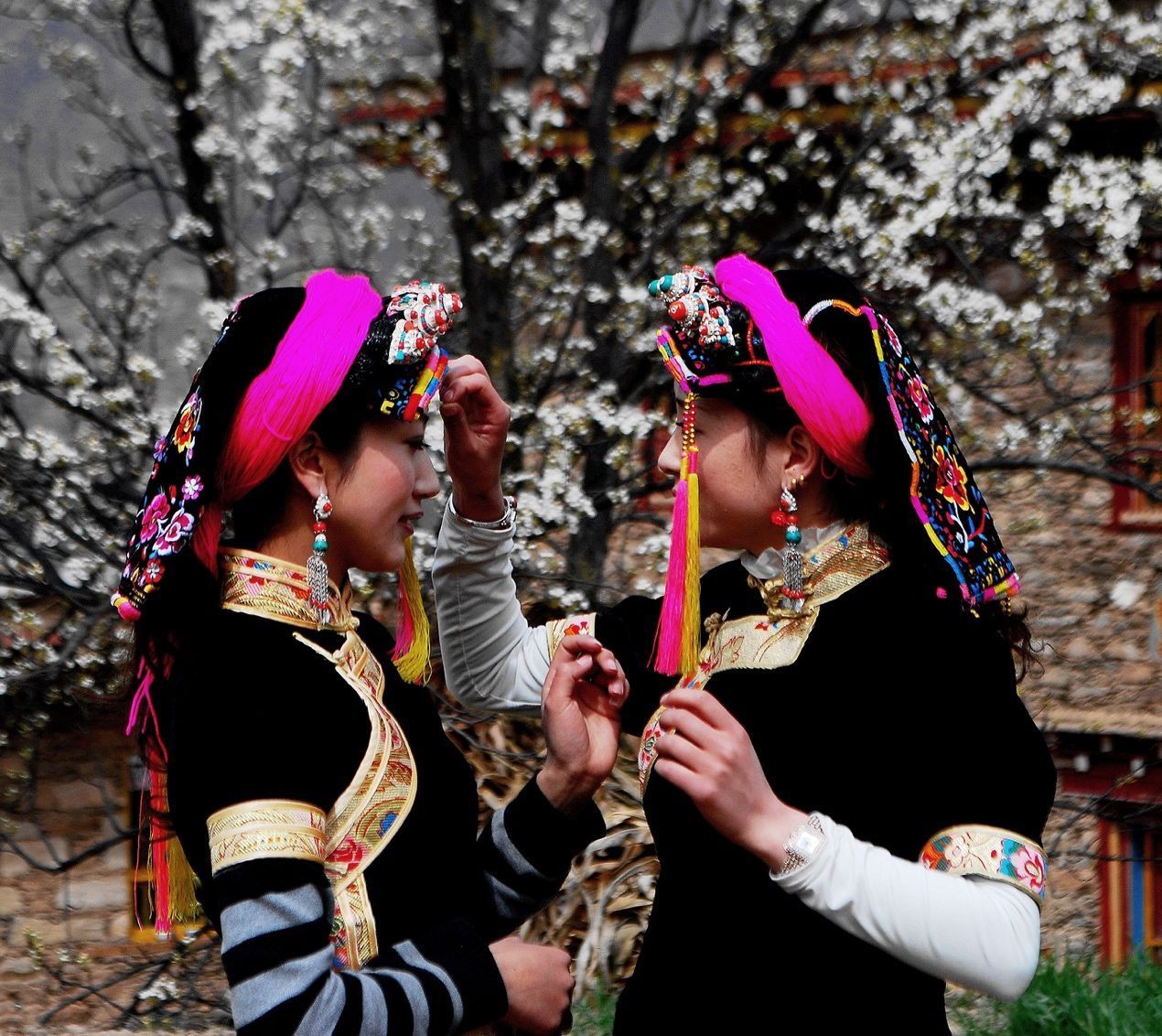 中国最美乡村丹巴 迎来梨花的最佳观赏期