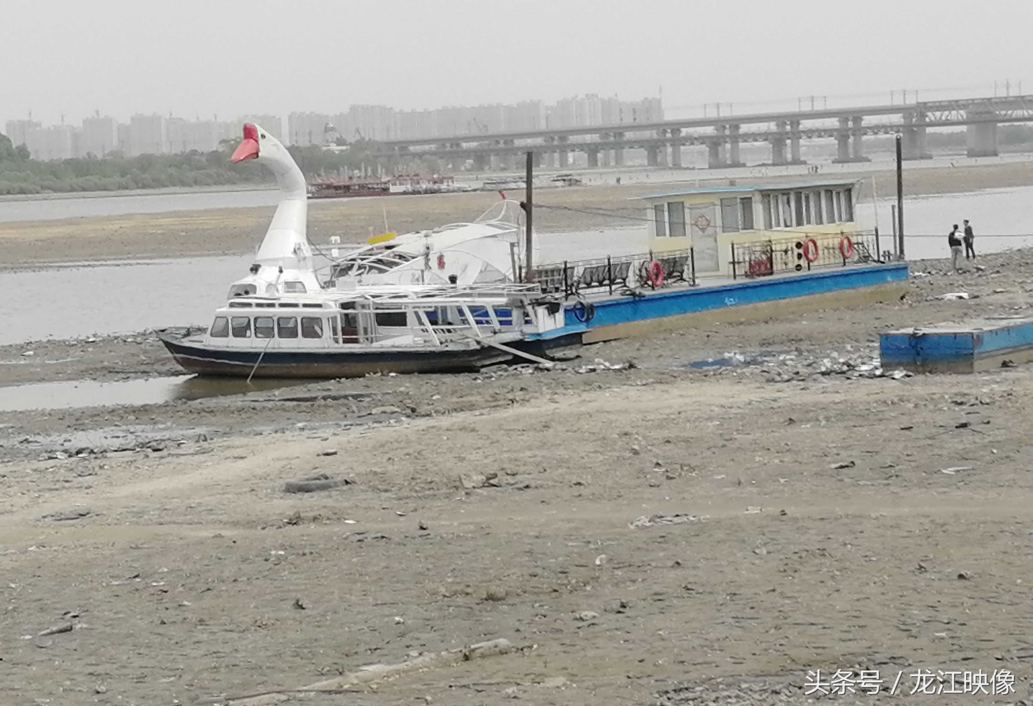 松花江边，大量码头船舶搁浅，淤泥开裂，如此干旱因为啥?