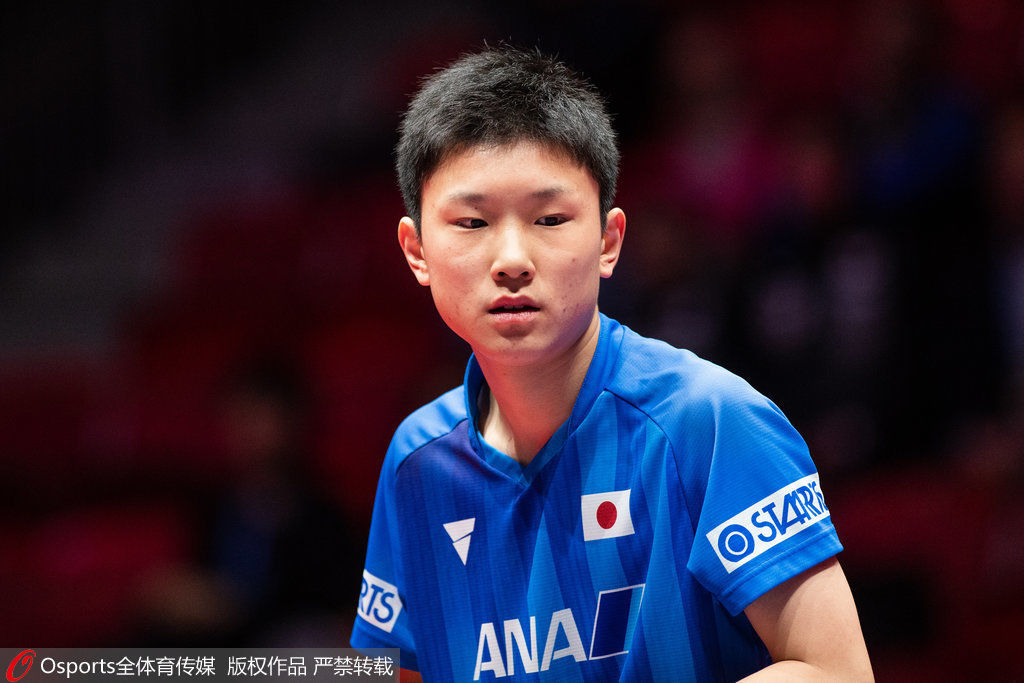 世乒赛张本智和率日本队3-0比利时取开门红