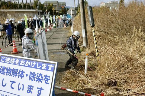 环保组织:福岛核电站核辐射影响将持续到下个世纪