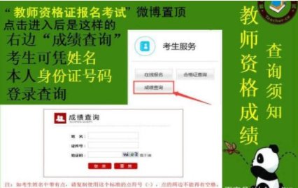 资格证成绩查询系统入口 中国教育考试官网登