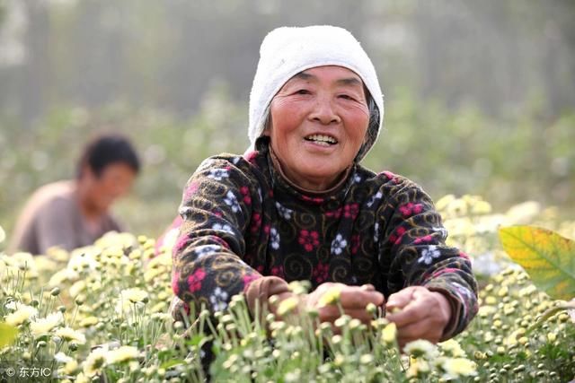 国家说了：农村补贴改革，这三大补贴直补到户谁克扣谁完蛋！