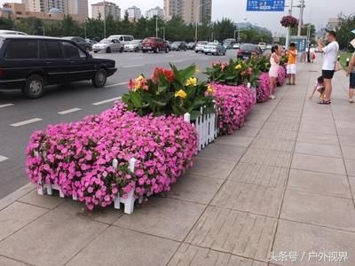 据说这是国内最干净的5座城市，你家乡上榜了吗？最后一个NO.1？