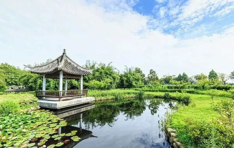 上海即将全面爆发!如果2年后你还在上海，你将面临……