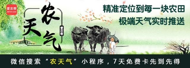 售粮不再“打白条”了！今年的粮食收购新政策有必要了解一下！