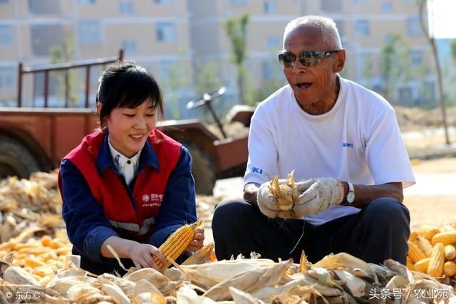 土地流转要注意的问题!别吃了大亏!