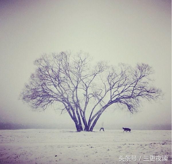 非常经典的句子:抬头看天是一种方向,低头看路