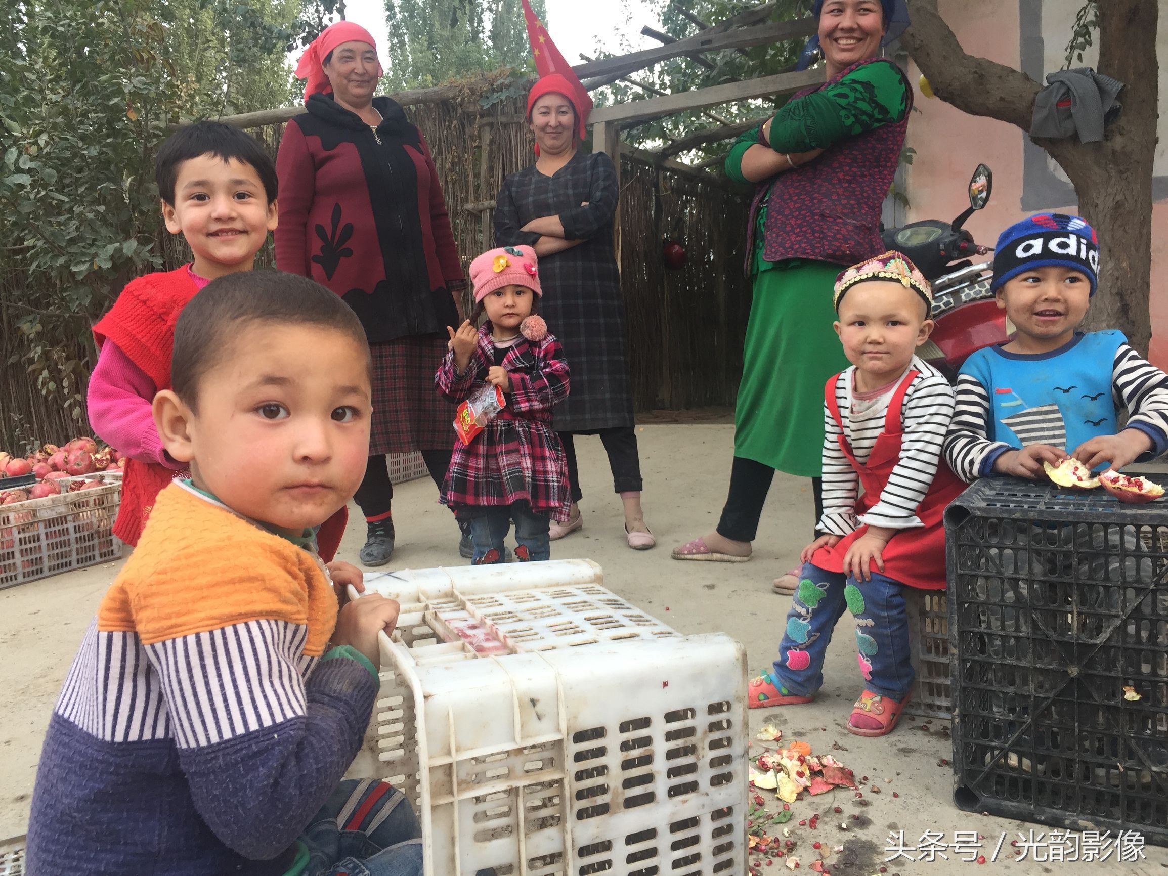 新疆的石榴红了,这个地方的石榴可能是中国最