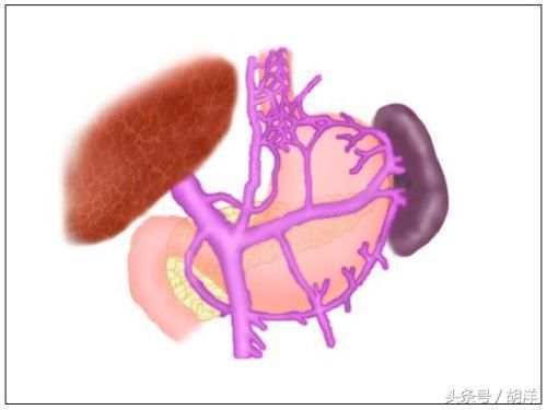 肿瘤晚期为什么会出现肚子里面积水,怎么才能