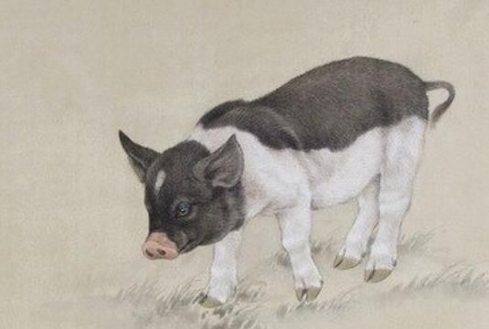 2018狗年旺旺旺，行大运中大奖发大财的4大生肖