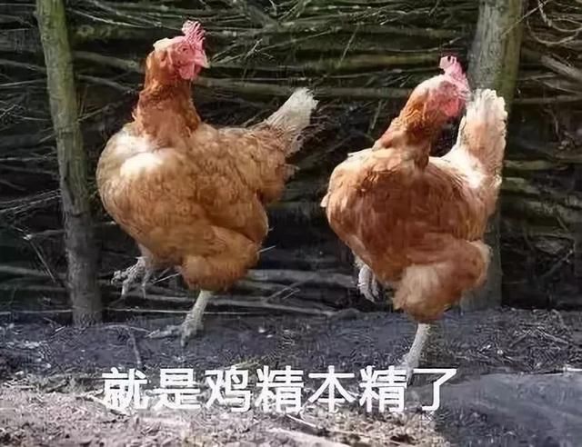 河南奇葩地名盘点，焦作这俩村名是充话费送的吧？