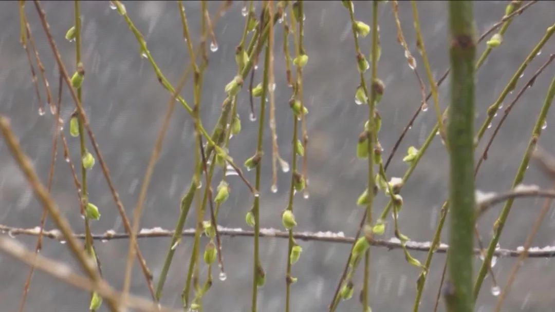 这些地方下雪了~~春如四季的时候又到了……啥时候可以穿T恤?戳里