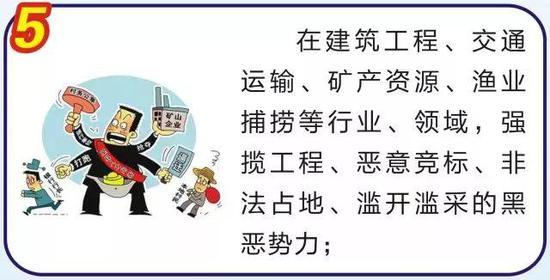 这12类是扫黑除恶专项斗争重点打击的情况