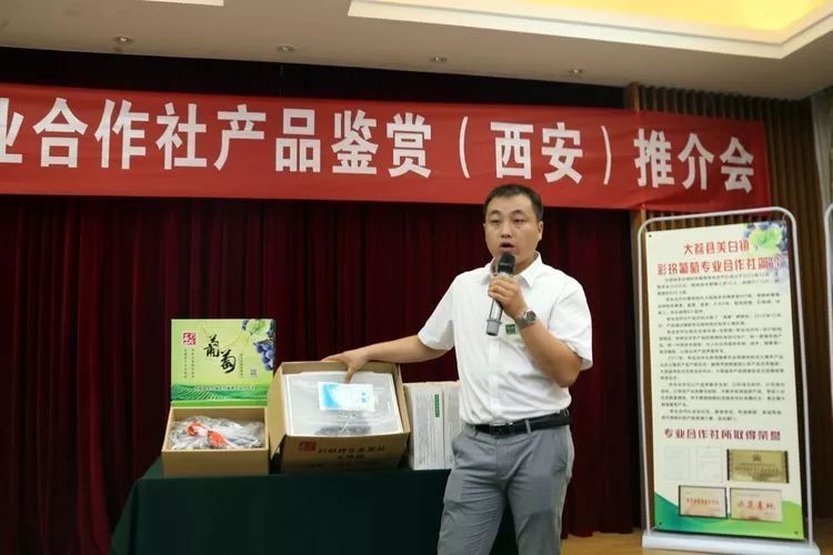 彩玲葡萄专业合作社让大荔葡萄走南闯北市民