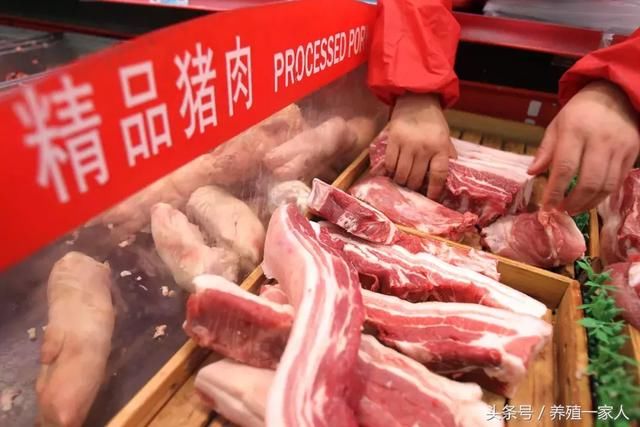 猪肉价格何时要涨、生猪生长周期会越来越短？