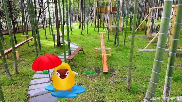 湖南西部有一座会“变红”的山，因一种让人“吃饱饭”的花而出名