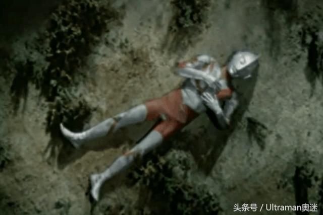 莉莉卡奥特曼全集图片欣赏_莉莉卡奥特曼全集- 奥特曼莉莉卡死亡图片煞妃