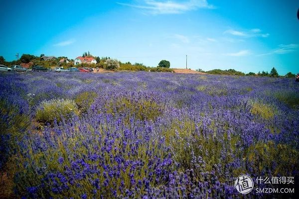 毕业旅行之欧洲篇 篇一:我在匈牙利搬砖,顺便分享美景