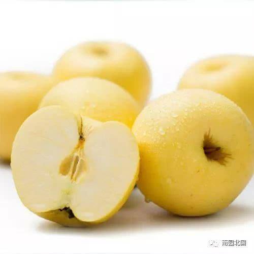 黄元帅苹果的营养价值及挑选方法