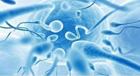 男性备孕吃什么?只需做好这4点和吃一样东西