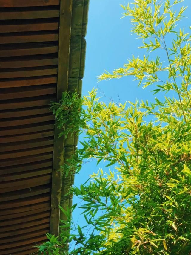 上海也有极致的避世酒店!仅靠35间别墅和一座古戏台成为江浙最向