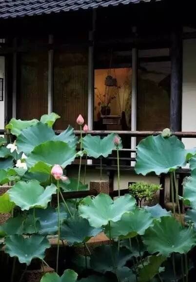 25款赏心悦目的别墅院子设计，从现代风格到古典风格……
