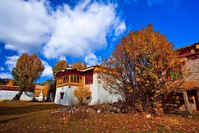 稻城！去了就不想回家的地方