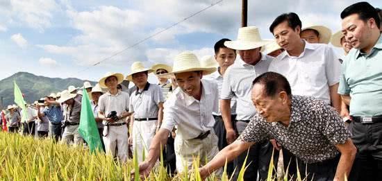 袁隆平育种时很艰苦,为填饱肚子,他“讲”出两道美味佳肴 必发88手机版下载