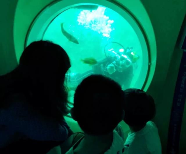 五一四天假期,济州岛高性价比亲子游推荐!