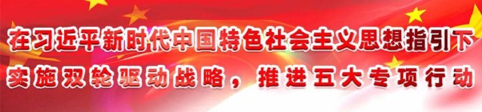 阜阳4个项目上榜国家这项振兴目录，有你的家乡吗?