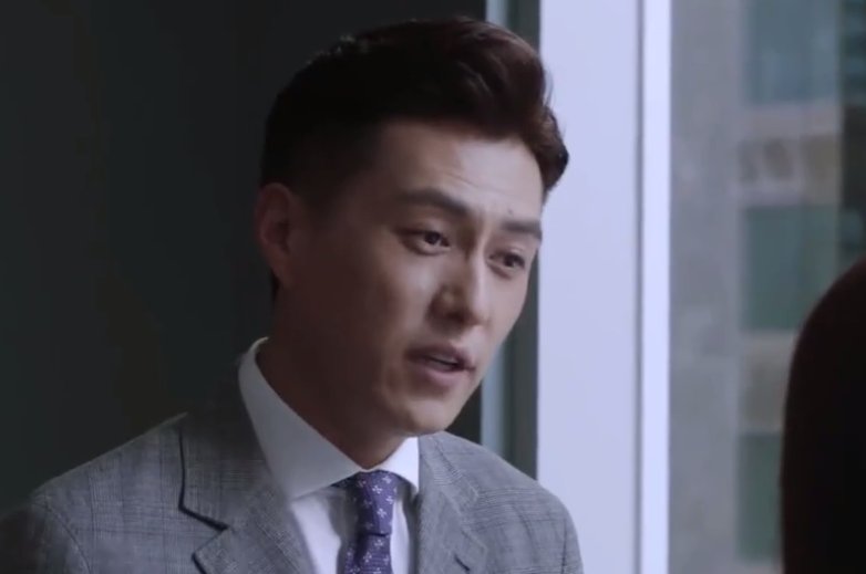 精英律师靳东感情线