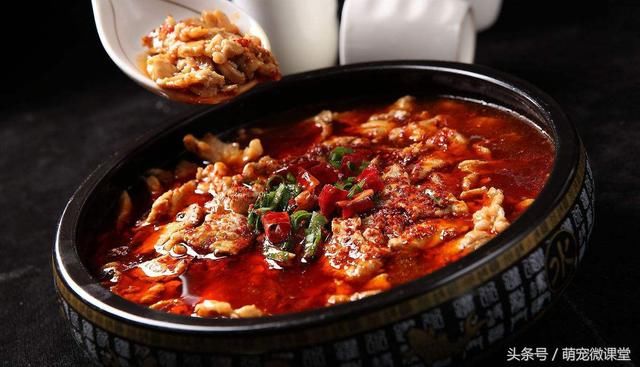 宠物狗到底能不能吃剩饭剩菜,相信它能给你一