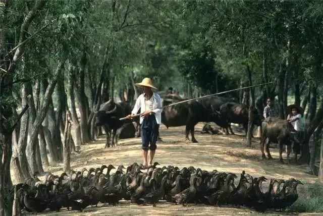 他用20万张底片，记录了80年代最真实的中国