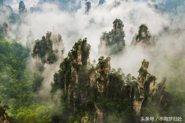 到张家界旅游找旅行社或自由行哪个更划算?行