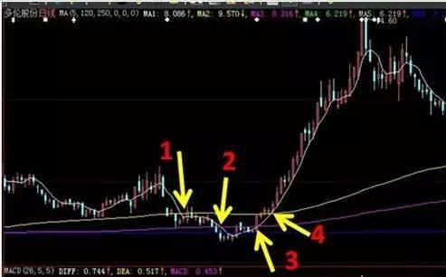 中国股市深夜发出一声“哀嚎”，股民：再这么下去没发玩了！