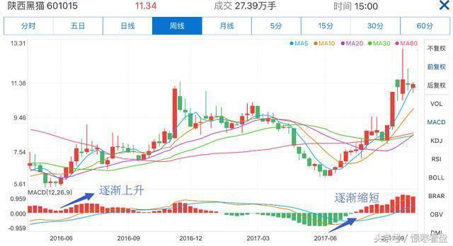 经典！MACD指标大全，学会这些就完全够用了！腥风血雨？都不是事