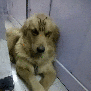 这次快递公司派来的业务员非常勤快,素质挺高