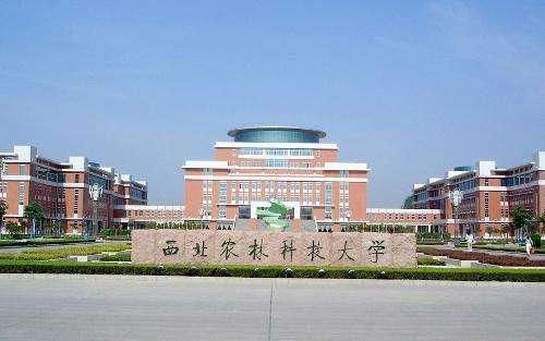 北京大学保研夏令营