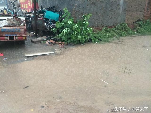 山东滨州城乡遭遇强降雨 阳信农村瞬间成河